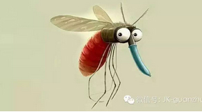预防蚊媒传染病，我们该怎么做？